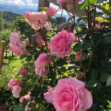 Apartma Rosa Spodnji Otok Dış mekan fotoğraf