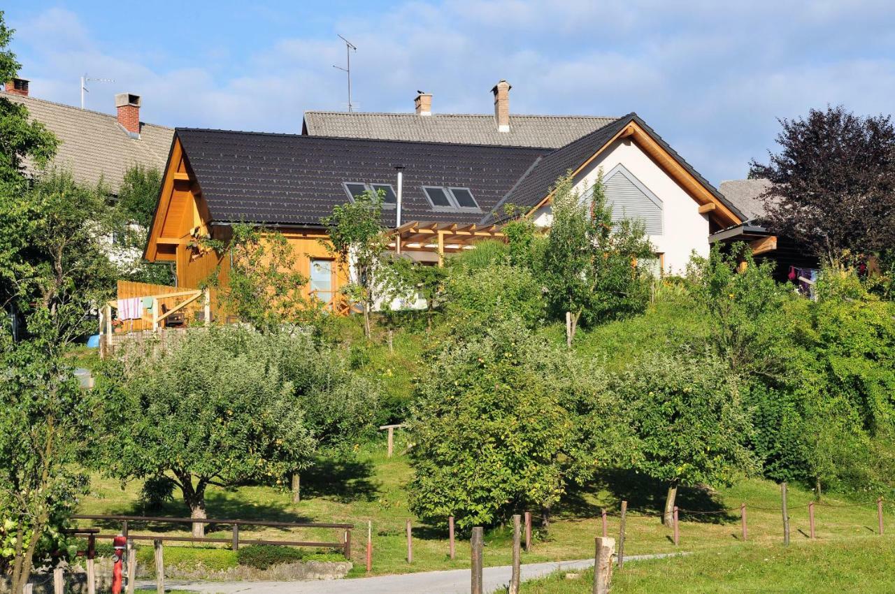 Apartma Rosa Spodnji Otok Dış mekan fotoğraf